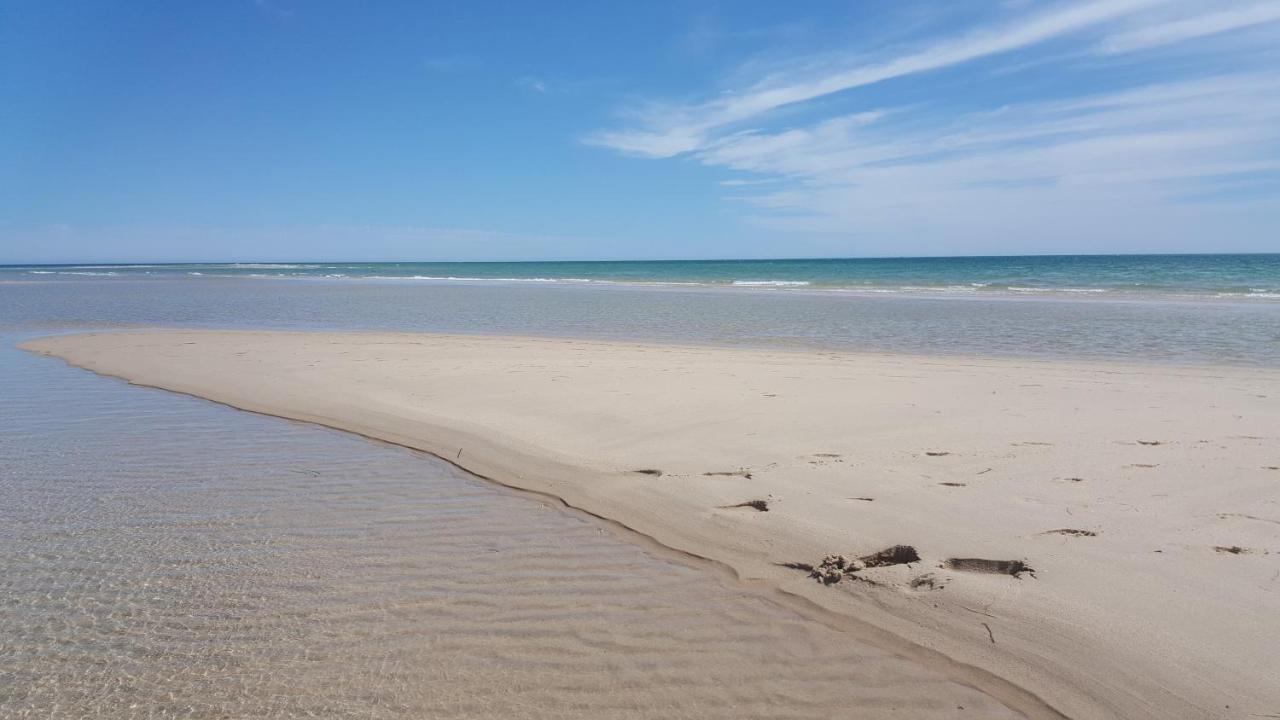 Casa Amarela: Conforto E Localizacao Perfeita! Distretto di Distretto di Faro Esterno foto